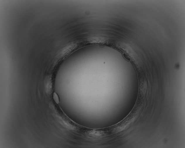 X0000095690261200801151155