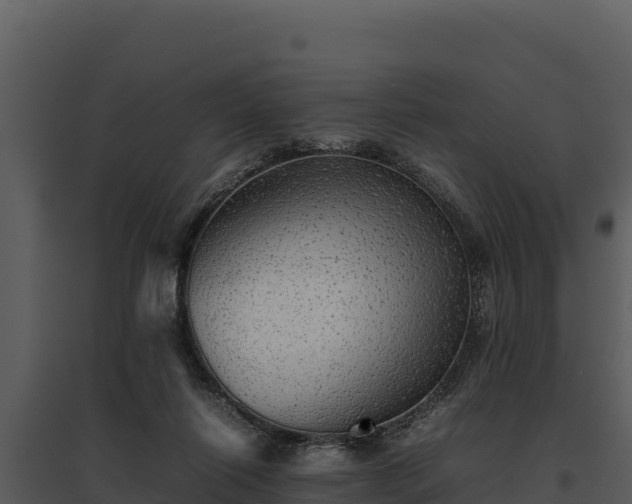 X0000095690262200801151155