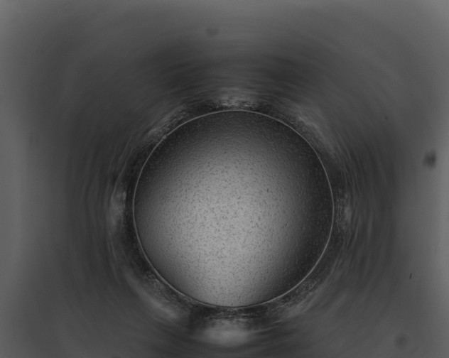 X0000095690263200801151155