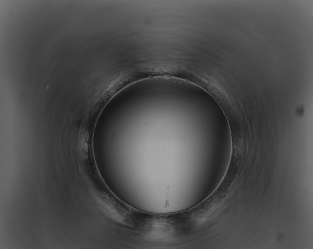 X0000095690264200801151155