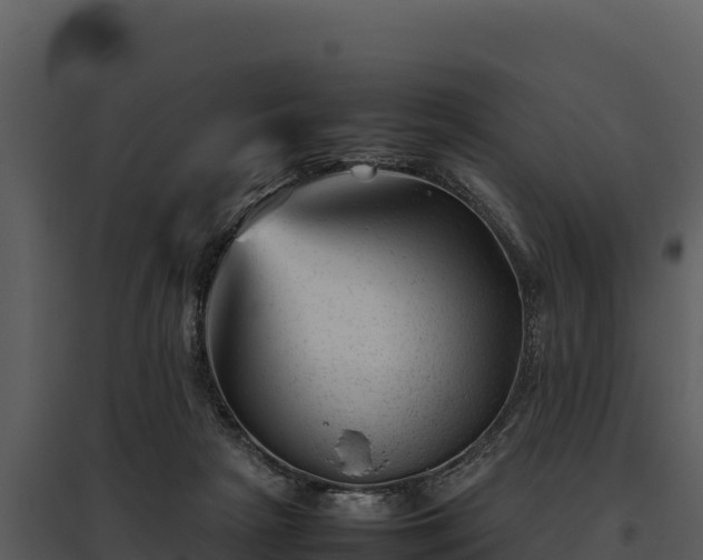 X0000095690265200801151155