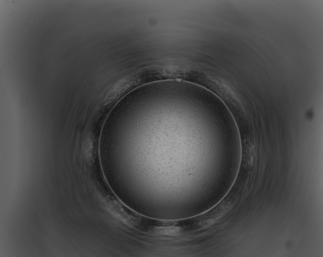 X0000095690266200801151155