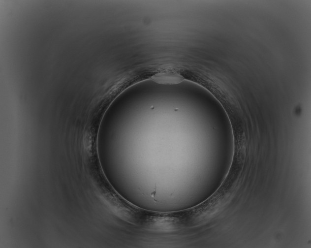 X0000095690268200801151155