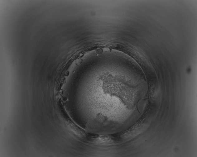 X0000095690270200801151155