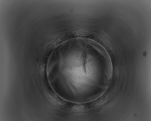 X0000095690271200801151155