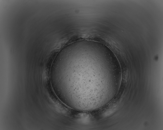 X0000095690272200801151155