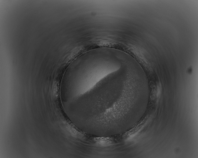 X0000095690273200801151155