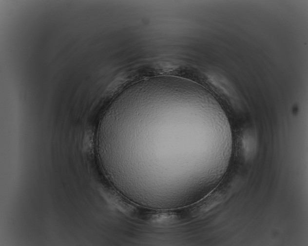 X0000095690274200801151155