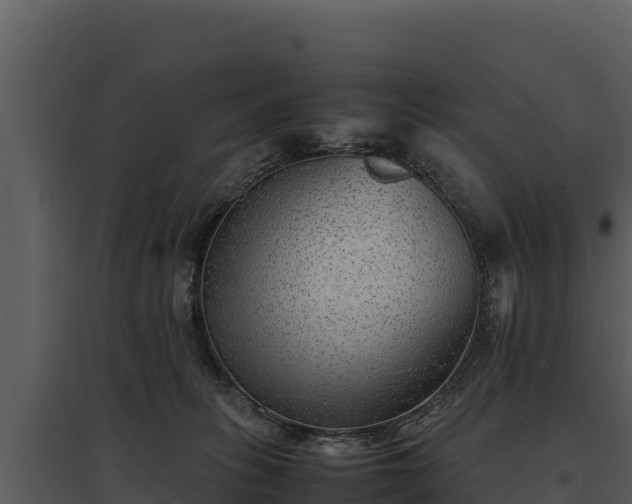 X0000095690275200801151155