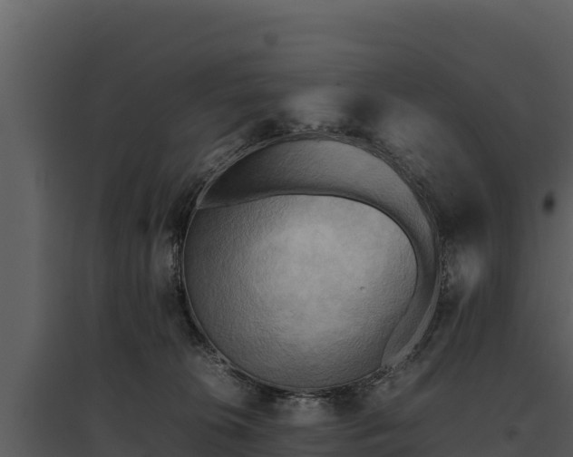 X0000095690276200801151155