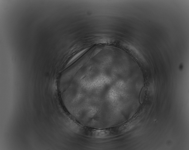 X0000095690277200801151155