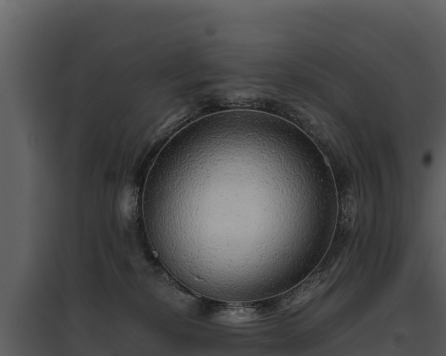 X0000095690278200801151155