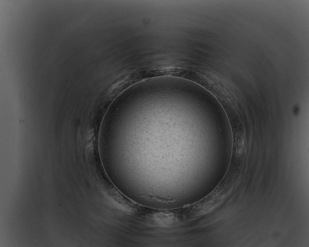 X0000095690279200801151155