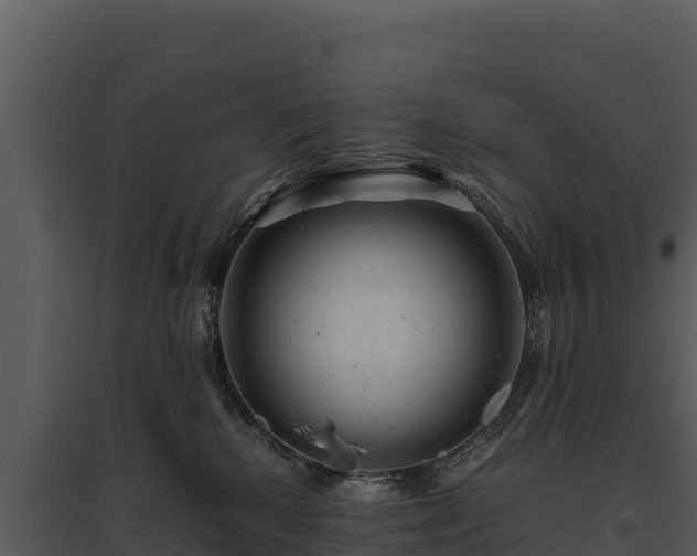 X0000095690280200801151155