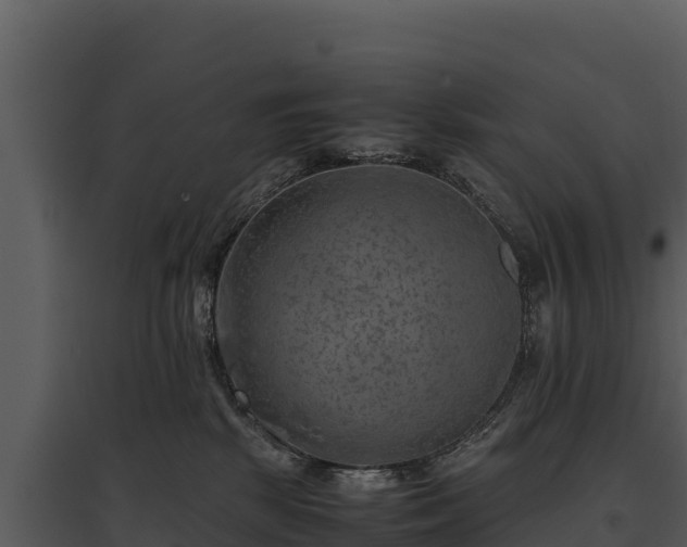 X0000095690281200801151155