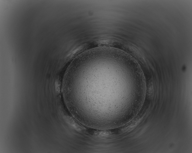 X0000095690282200801151155