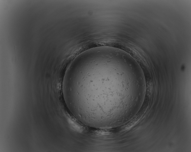 X0000095690284200801151155