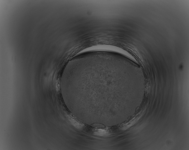 X0000095690285200801151155