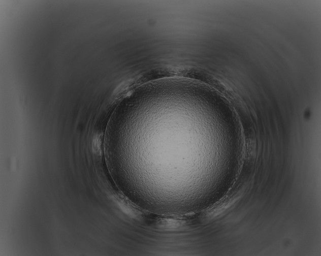 X0000095690286200801151155