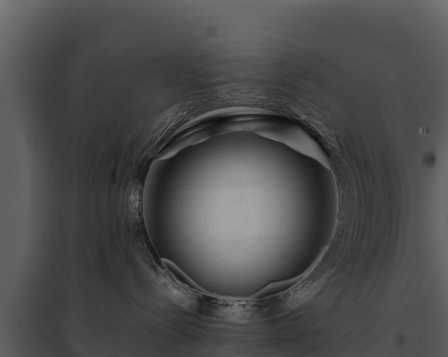 X0000095690288200801151155