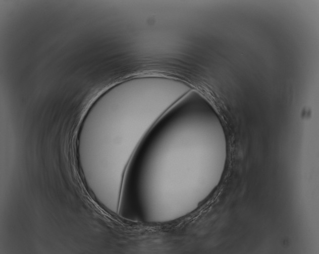 X0000095690289200801151155