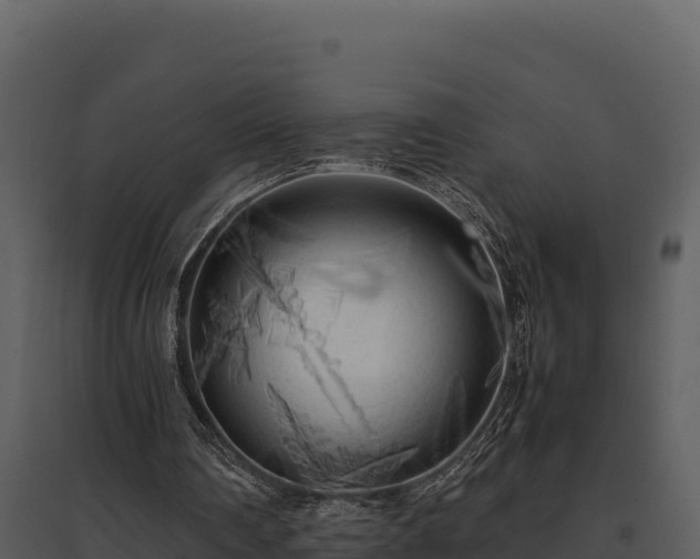 X0000095690290200801151155