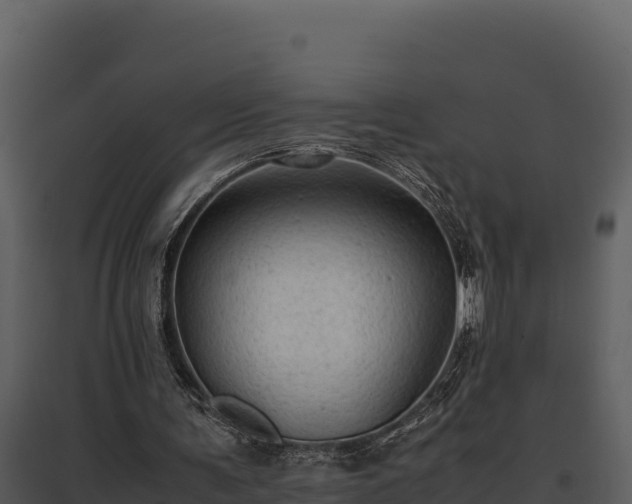 X0000095690291200801151155