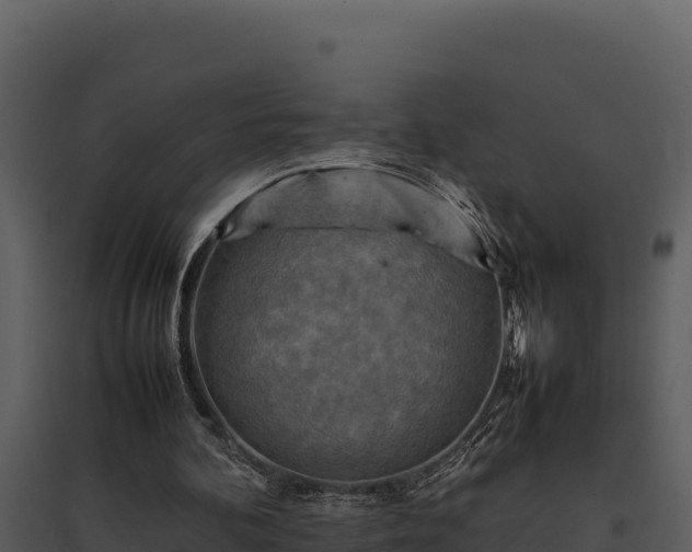 X0000095690292200801151155