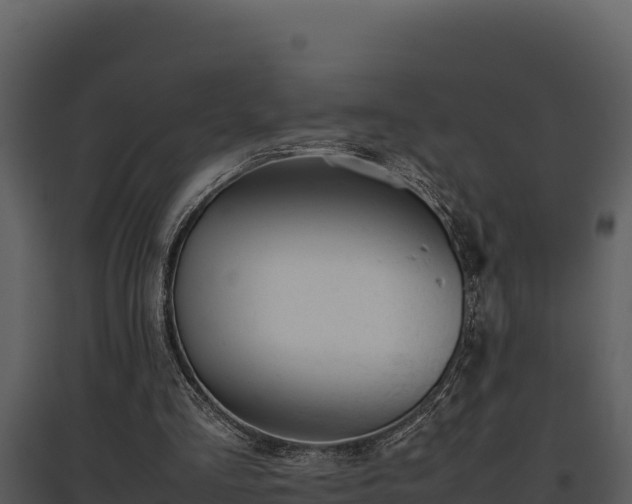 X0000095690293200801151155