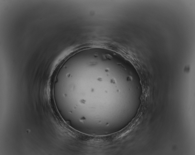 X0000095690294200801151155