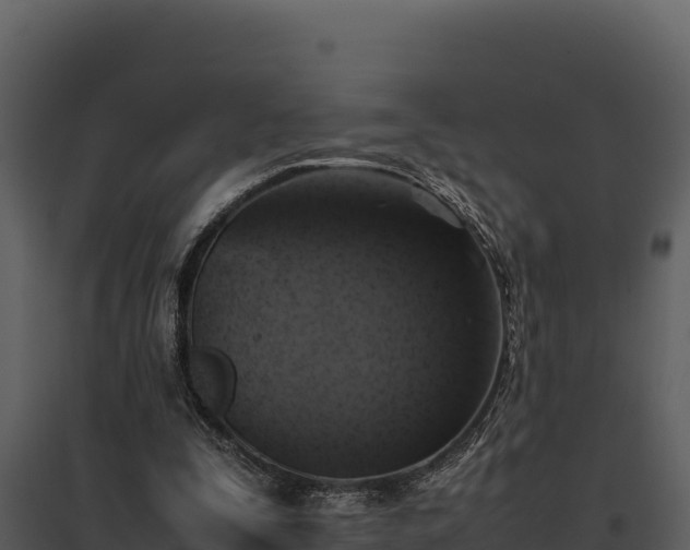 X0000095690295200801151155