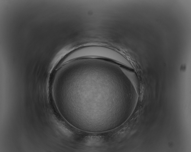 X0000095690296200801151155