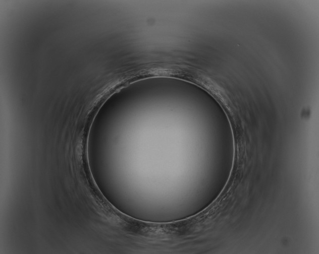 X0000095690297200801151155