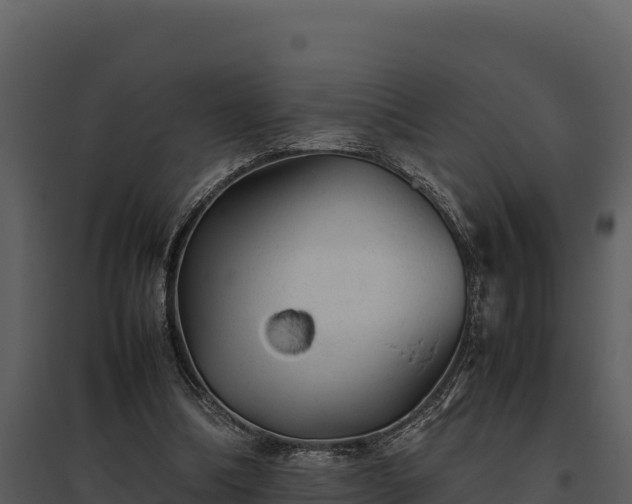 X0000095690298200801151155