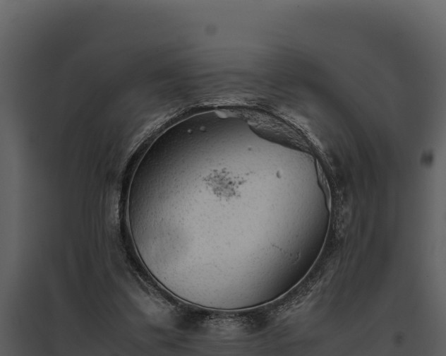 X0000095690299200801151155