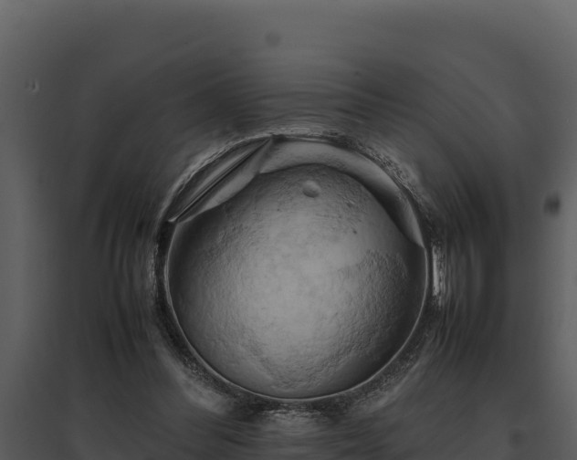 X0000095690300200801151155