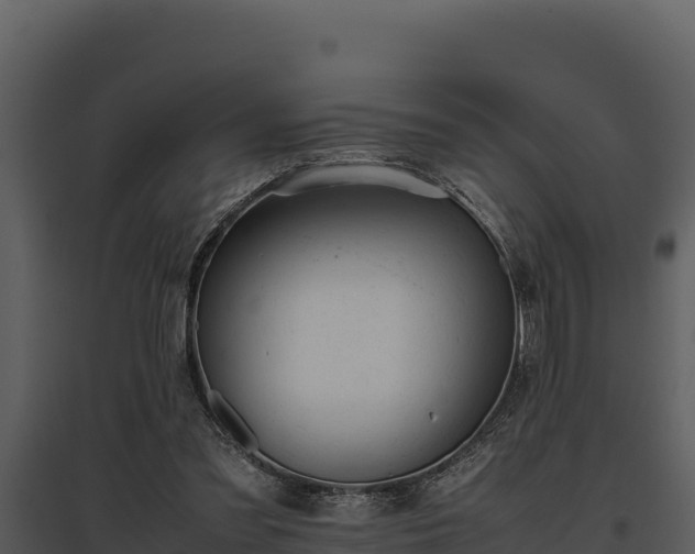 X0000095690301200801151155