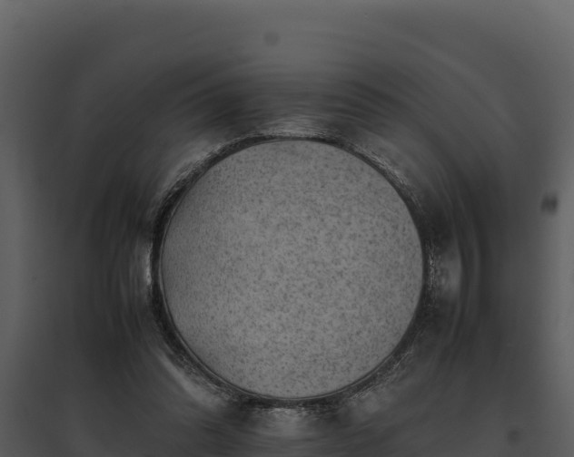 X0000095690302200801151155