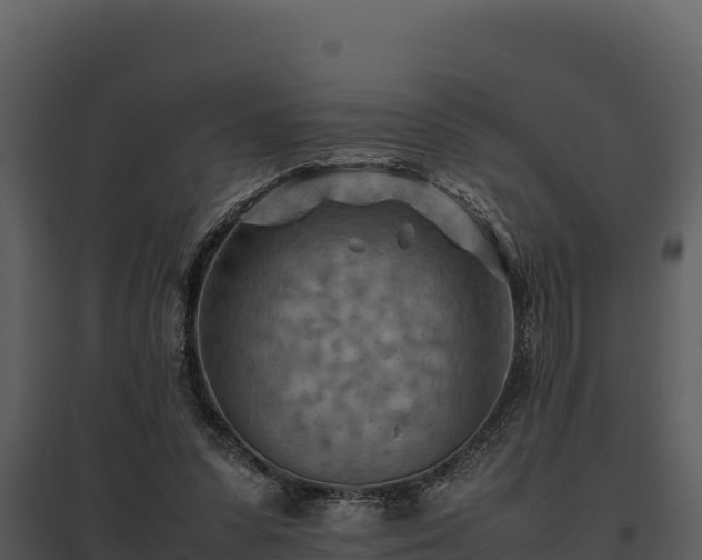 X0000095690303200801151155