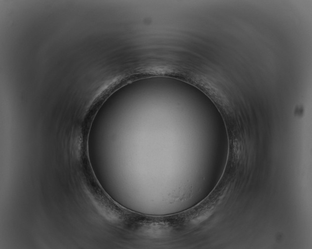 X0000095690304200801151155