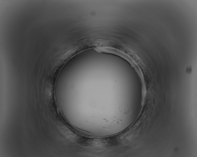 X0000095690305200801151155