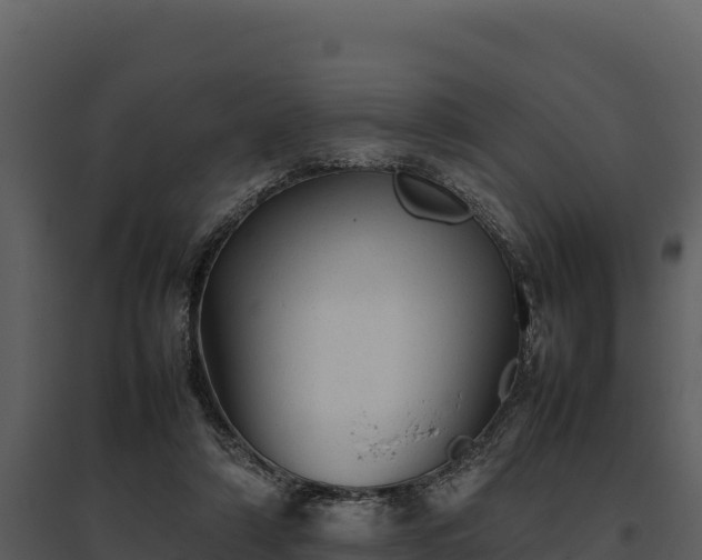 X0000095690306200801151154