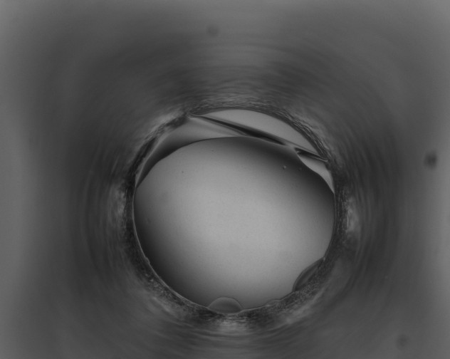 X0000095690308200801151154