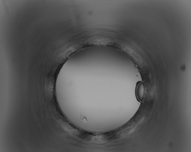 X0000095690309200801151154