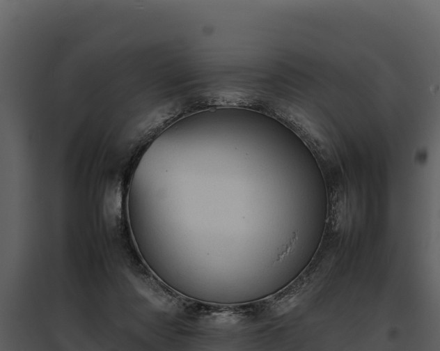 X0000095690310200801151154