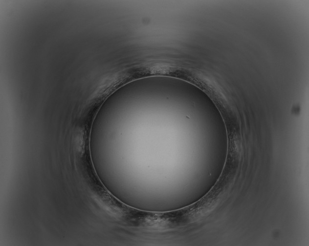 X0000095690311200801151154