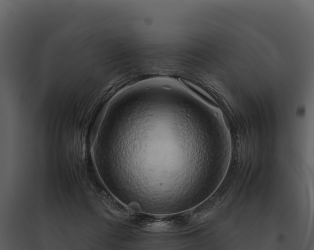 X0000095690312200801151154