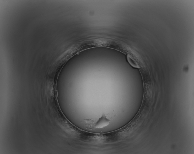 X0000095690313200801151154