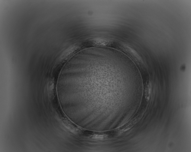 X0000095690314200801151154