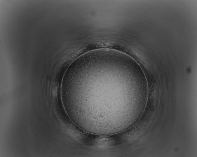 X0000095690315200801151154